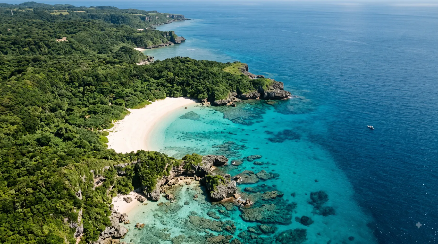 Okinawa reef coastline